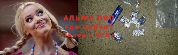 дживик Надым