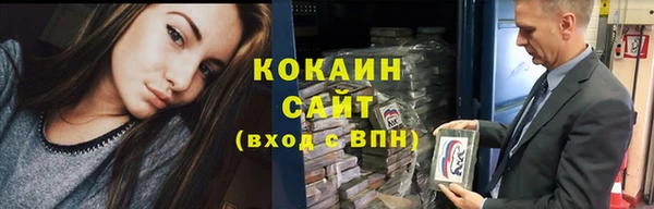 дживик Надым