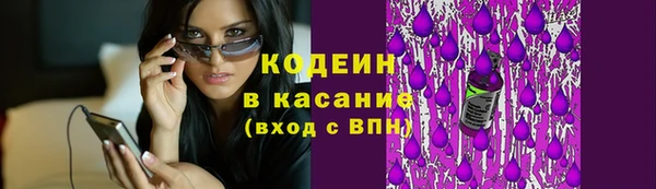 дживик Надым