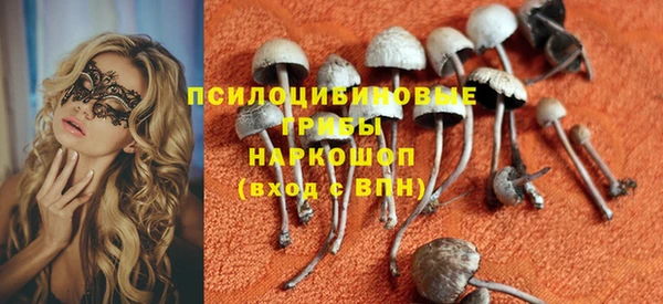 дживик Надым