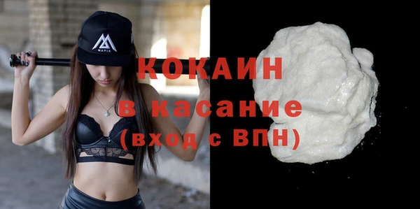 дживик Надым