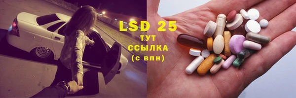 дживик Надым