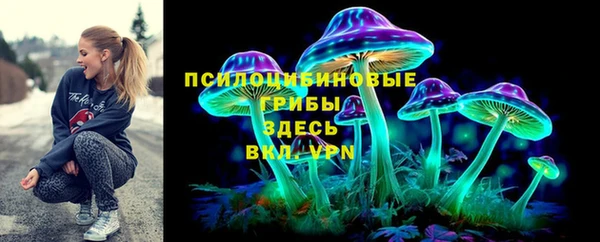 дживик Надым