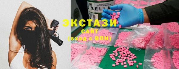 дживик Надым